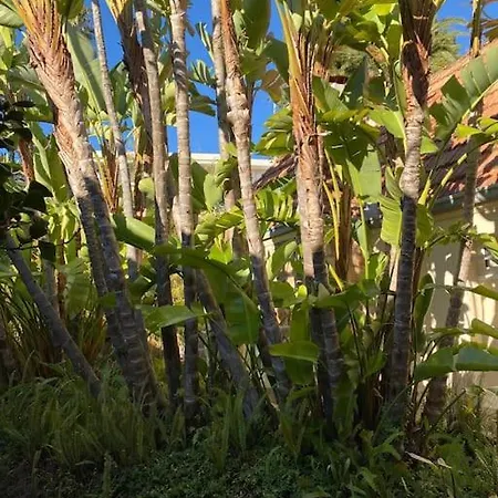 Luxury 4 Bedrooms In Daire Cannes