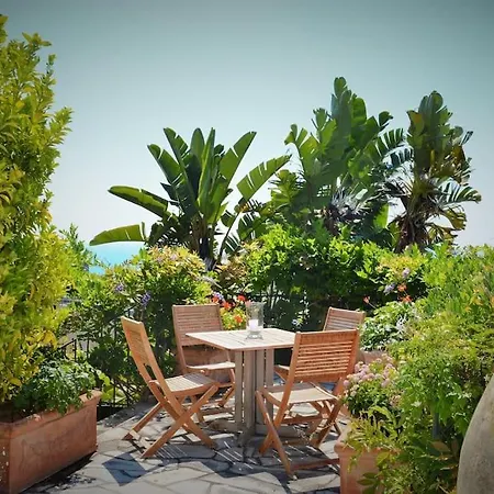Luxury 4 Bedrooms In Daire Cannes